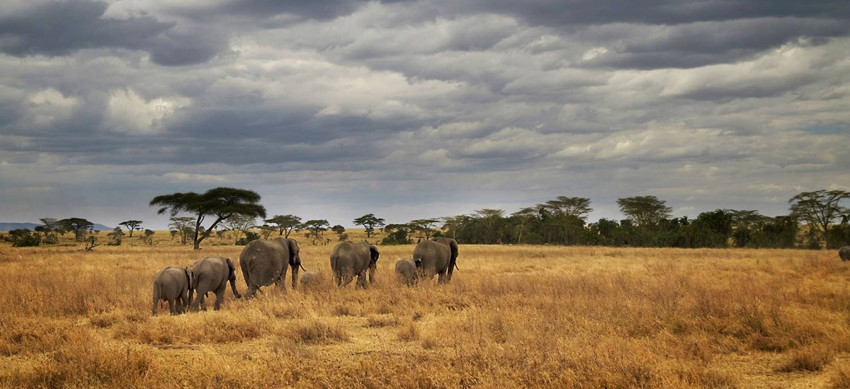 5 Day Tanzania Enticing Explorations
