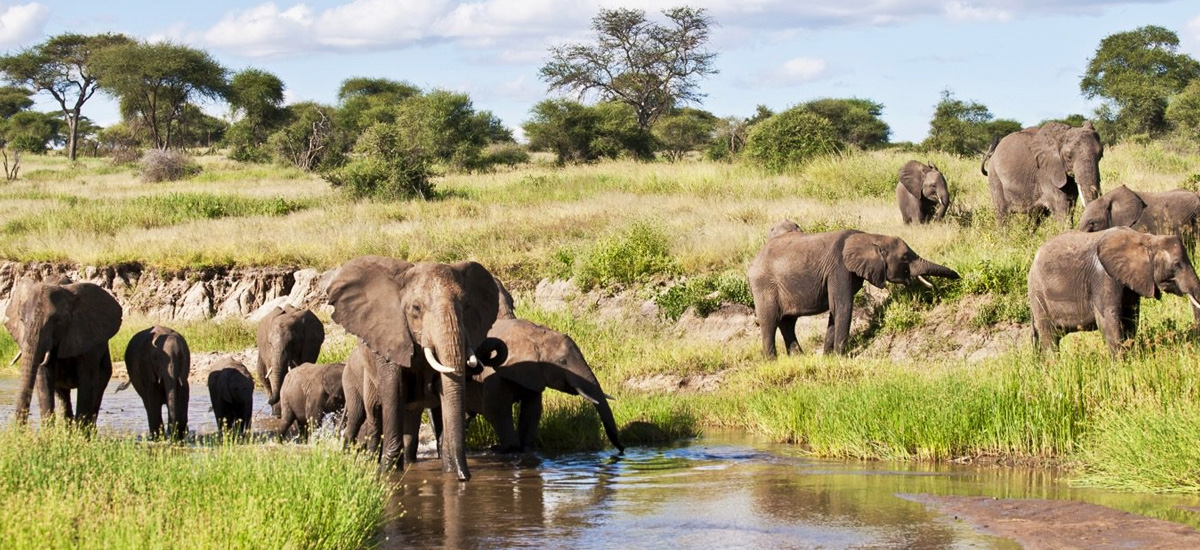 7 Days Kenya Wildlife Safari