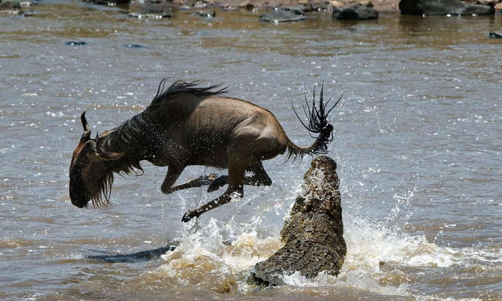 10-Days-Kenya-Safari