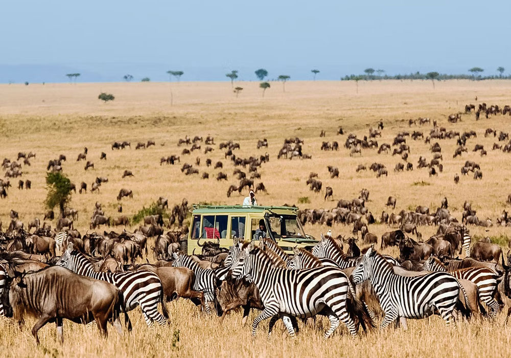 A Month-by-Month Guide to Safari Seasons in Tanzania