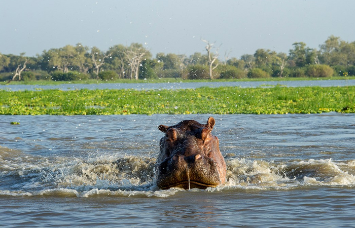 Nyerere National Park