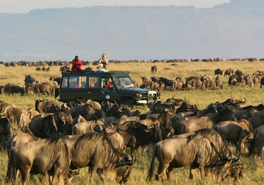 Safari Combinations: Kenya and Tanzania Twin Country Trip