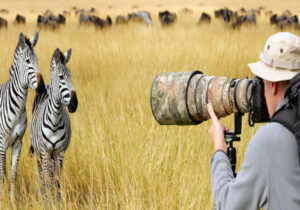 Safari Photography Tips for Your Trip to Tanzania