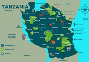 Top 10 Must-Visit National Parks in Tanzania