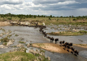 When Is the Best Time to Go on Safari in Tanzania?