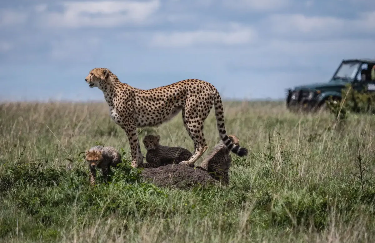 14 Days – The Ultimate Southern Tanzania Experience