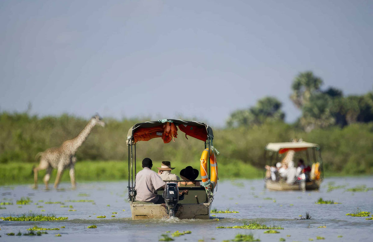4-Day Safari in Nyerere National Park