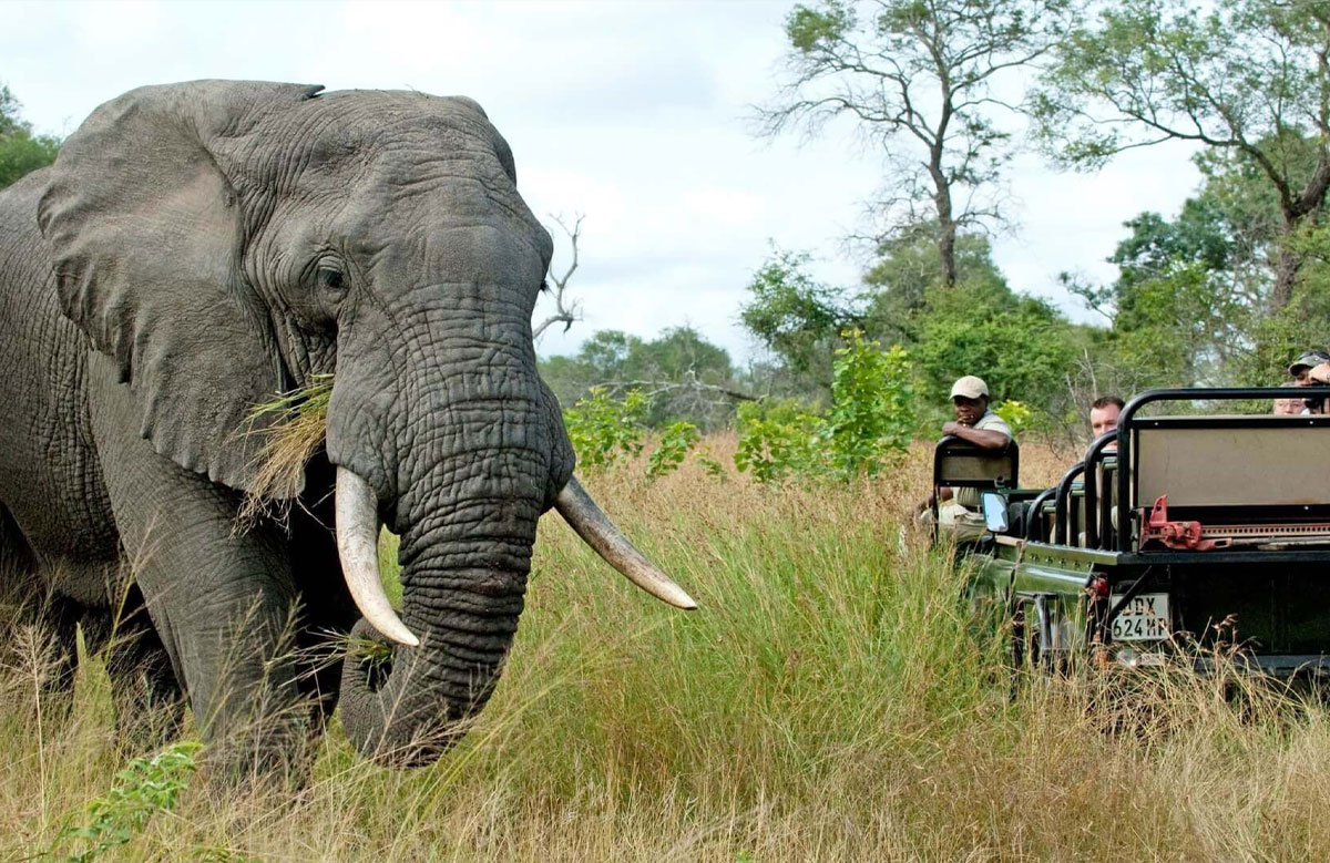 6 Day Southern Circuit