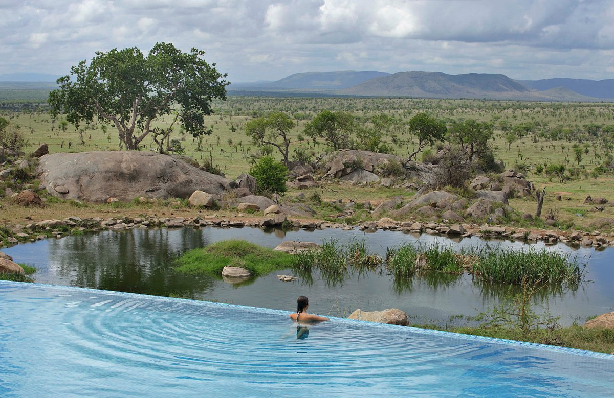 6 Days Tanzania Luxury Safari