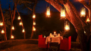 A Wedding Safari in the Serengeti