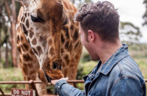 Giraffe Center National Park