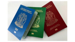 How to Get a Tanzania Tourist Visa