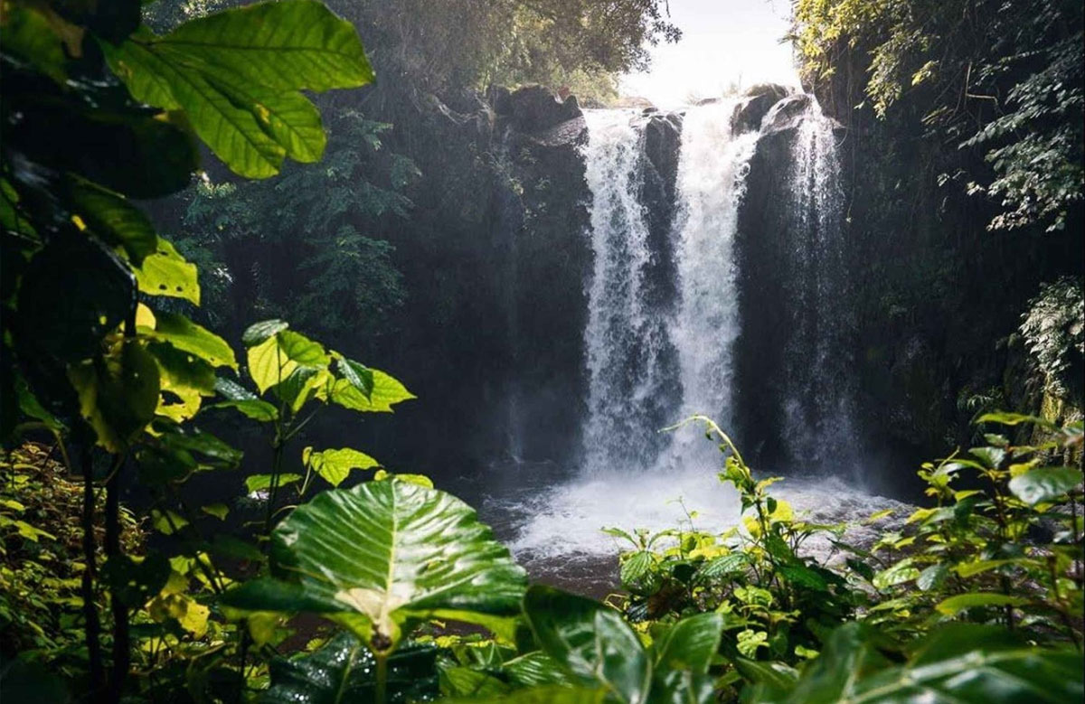 Kinukamori Waterfall Day Tour