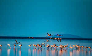 Lake Natron National Park