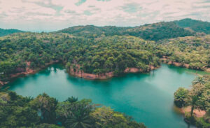 Magoroto Forest