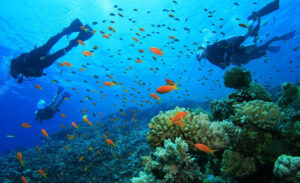 Malindi Marine National Park