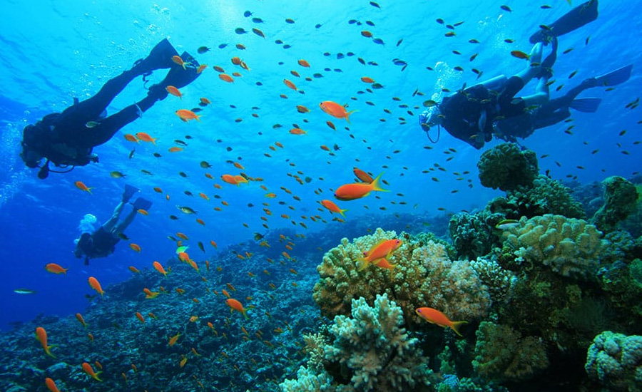 Malindi Marine National Park