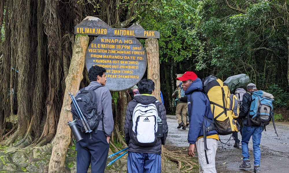 Celebrating Your Success After a Kilimanjaro Climb