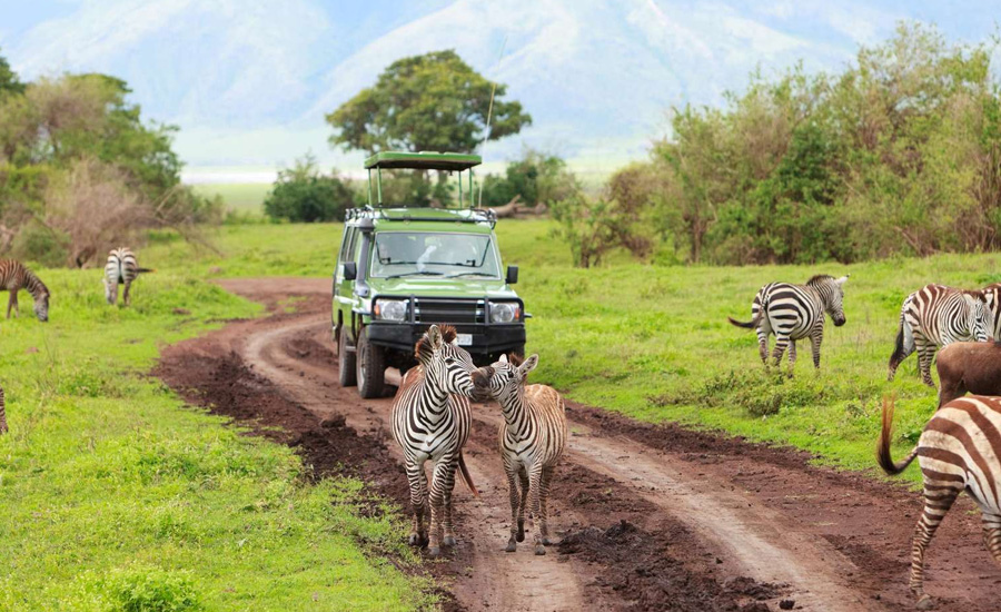 Mount Elgon National Park