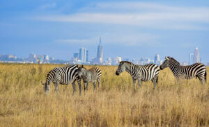 Nairobi National Park