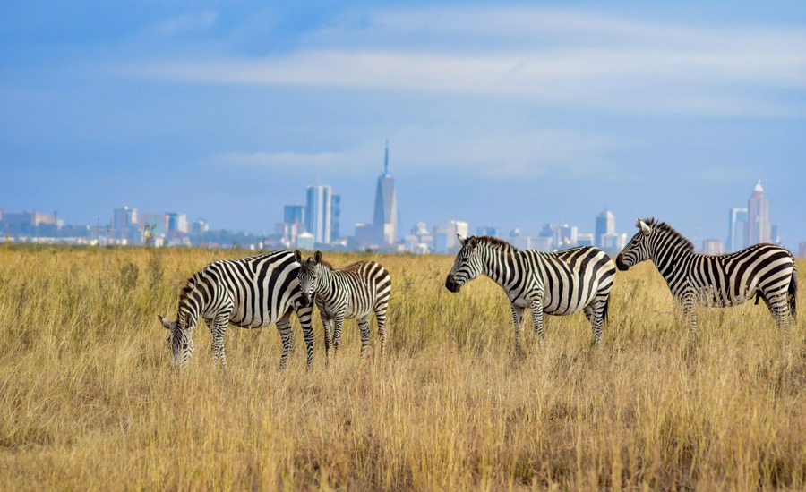 Nairobi National Park