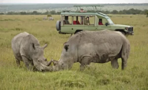 Ol -Pejeta -National -Park