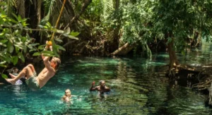 Kikuletwa Hot Spring Day Tour
