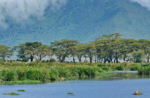 Ngorongoro Crater Day Trip
