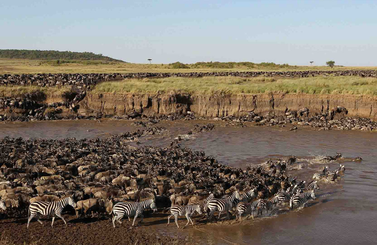 serengeti national park