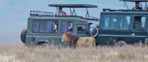 Tanzania Day Trips