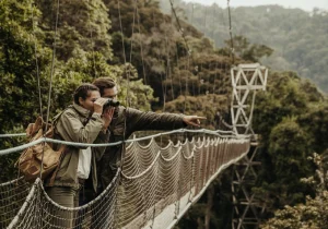 10 Days Rwanda Safari