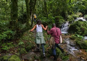 5 Days Uganda Safari