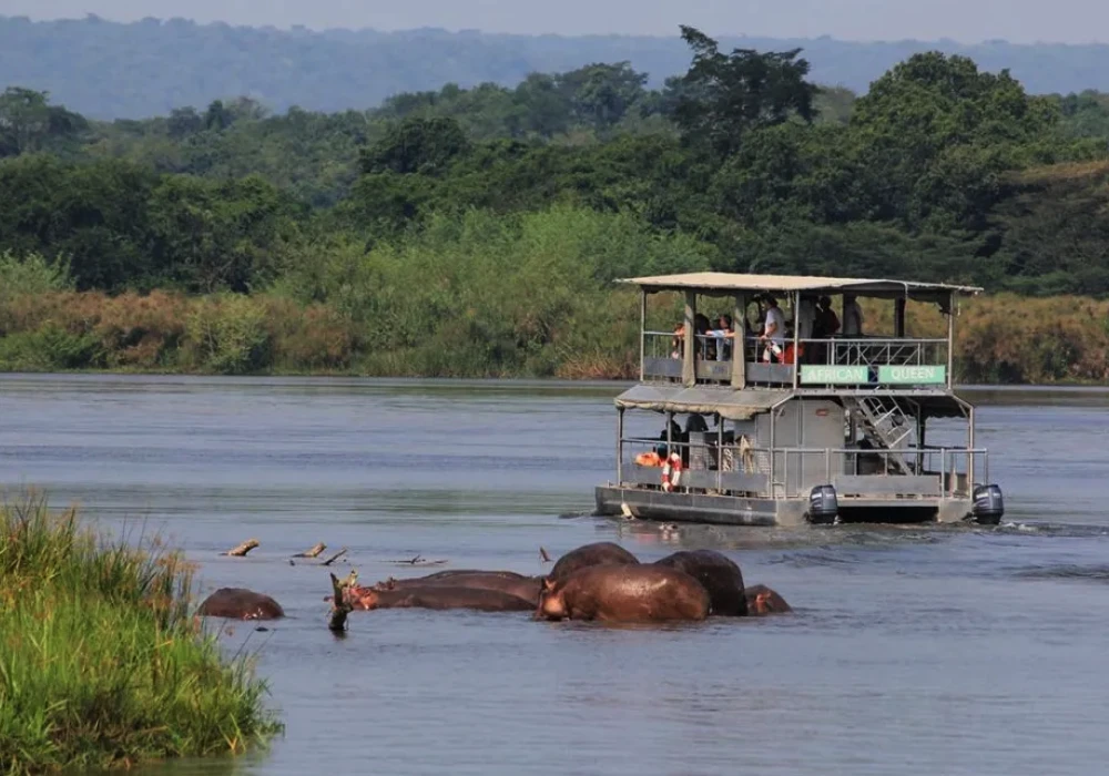 Best Uganda Safari Destinations