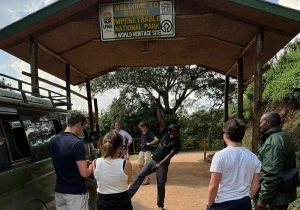 Budget Uganda Safari