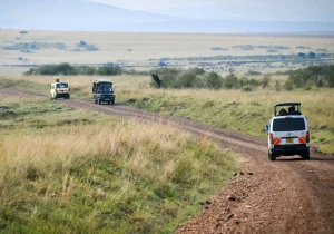 How Many Days Do You Need for a Uganda Safari