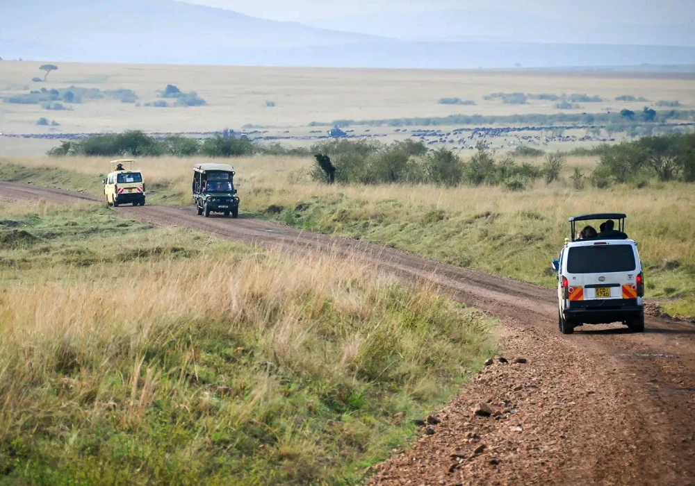 How Many Days Do You Need for a Uganda Safari