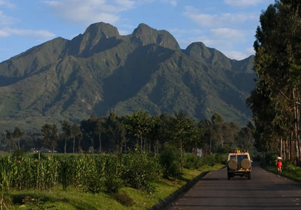 Kigali to Volcanoes National Park