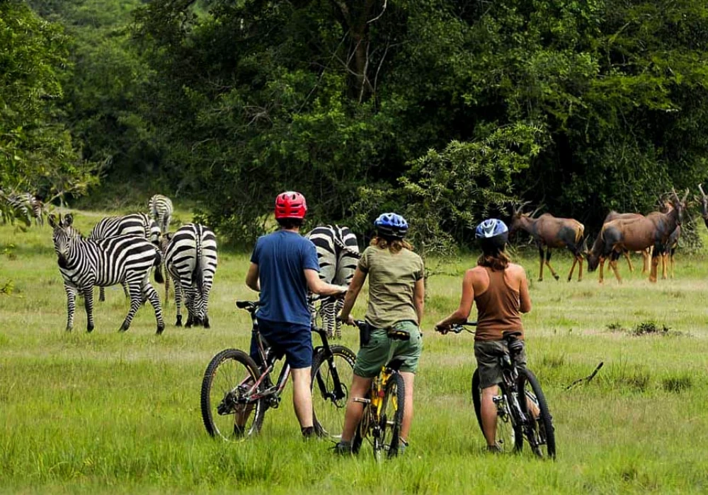 Lake Mburo National Park