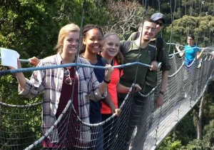 Nyungwe National Park
