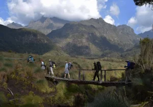 Rwenzori Mountains National Park