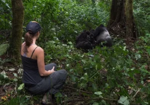 Uganda Gorilla Trekking Permit