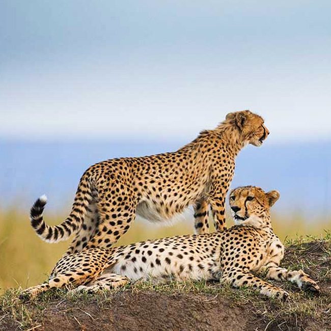10-days-safari-in-tanzania