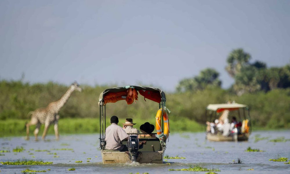 4-Day Safari in Nyerere National Park