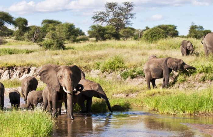 7days-tanzania-highlighs