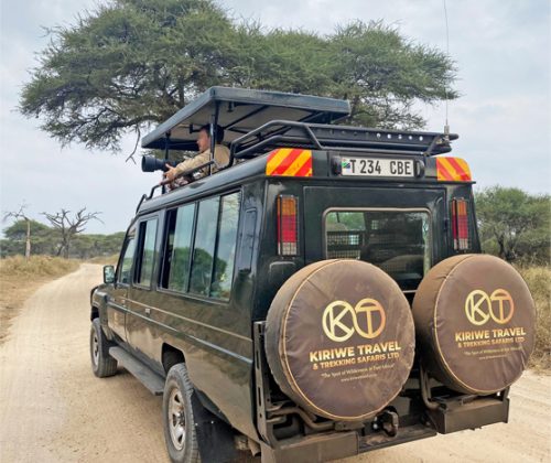 Game-Drive-with-Kiriwe-tRAVEL