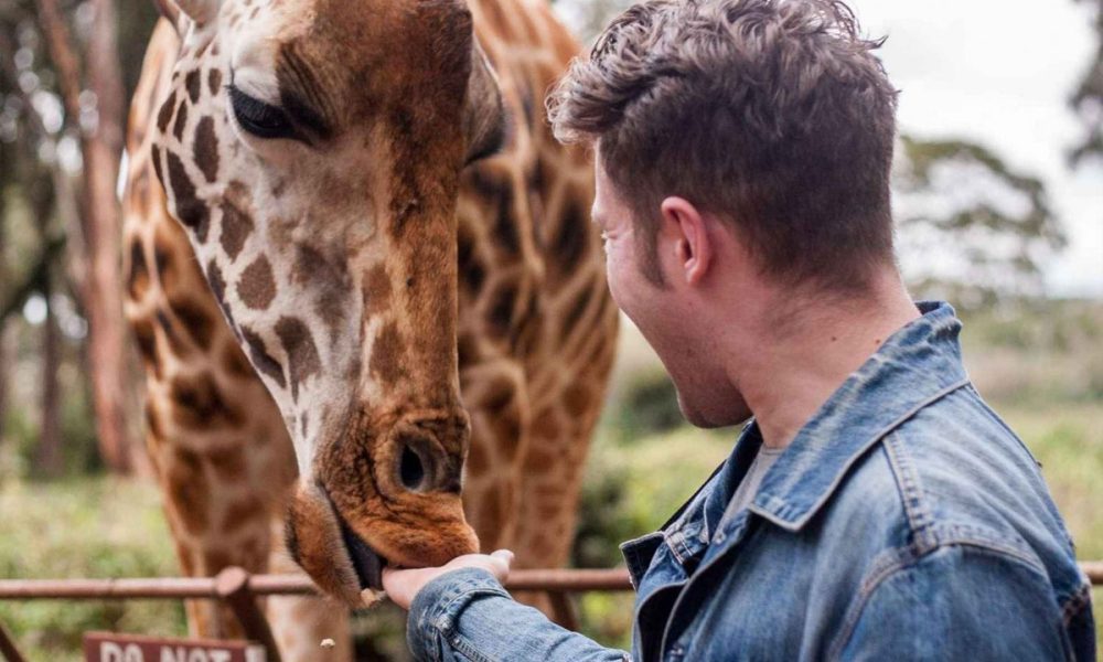 Giraffe Center National Park