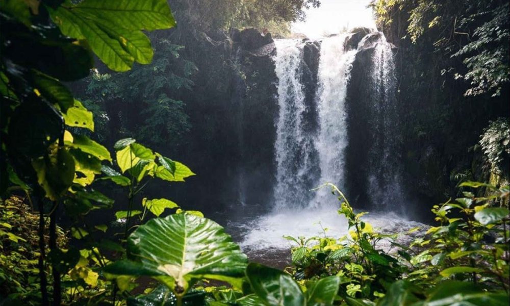 Kinukamori Waterfall Day Tour