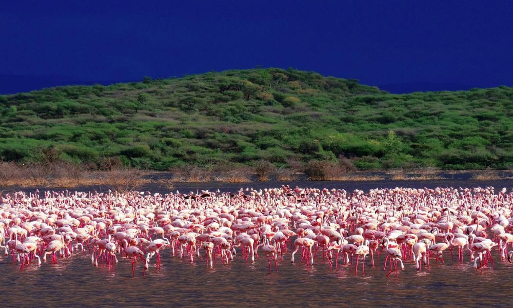 Lake Bogoria National Reserve