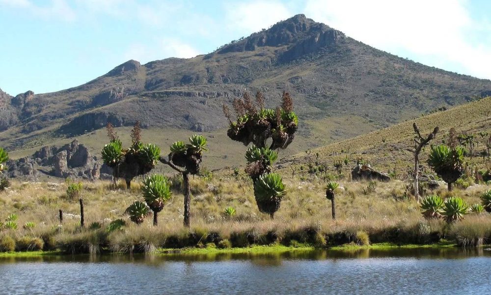 Mount Elgon National Park