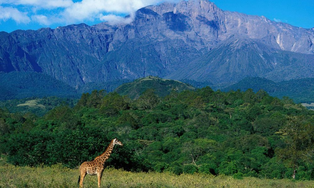 Mount Meru National Park